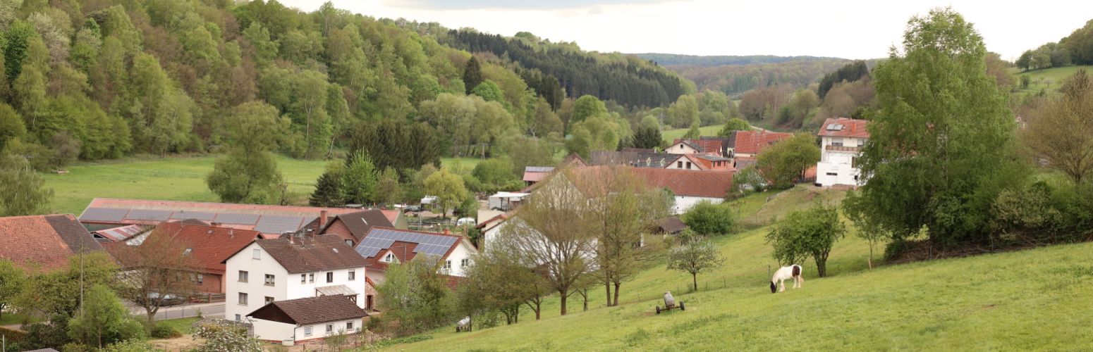 Startseite Gemeinde Walshausen Südwestpfalz